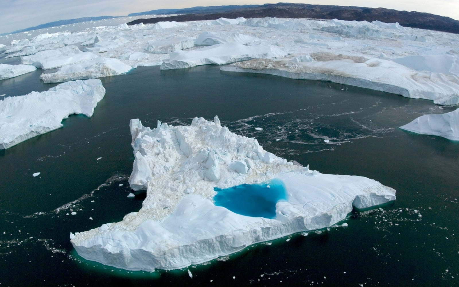 Северный Ледовитый океан и Антарктида
