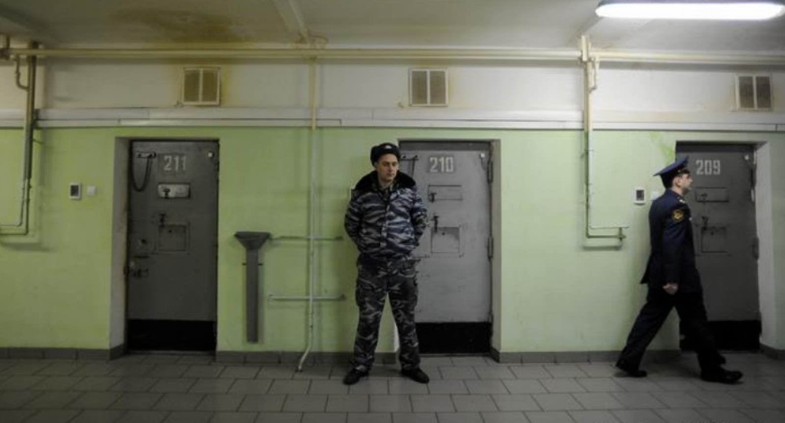 Как выглядит ивс