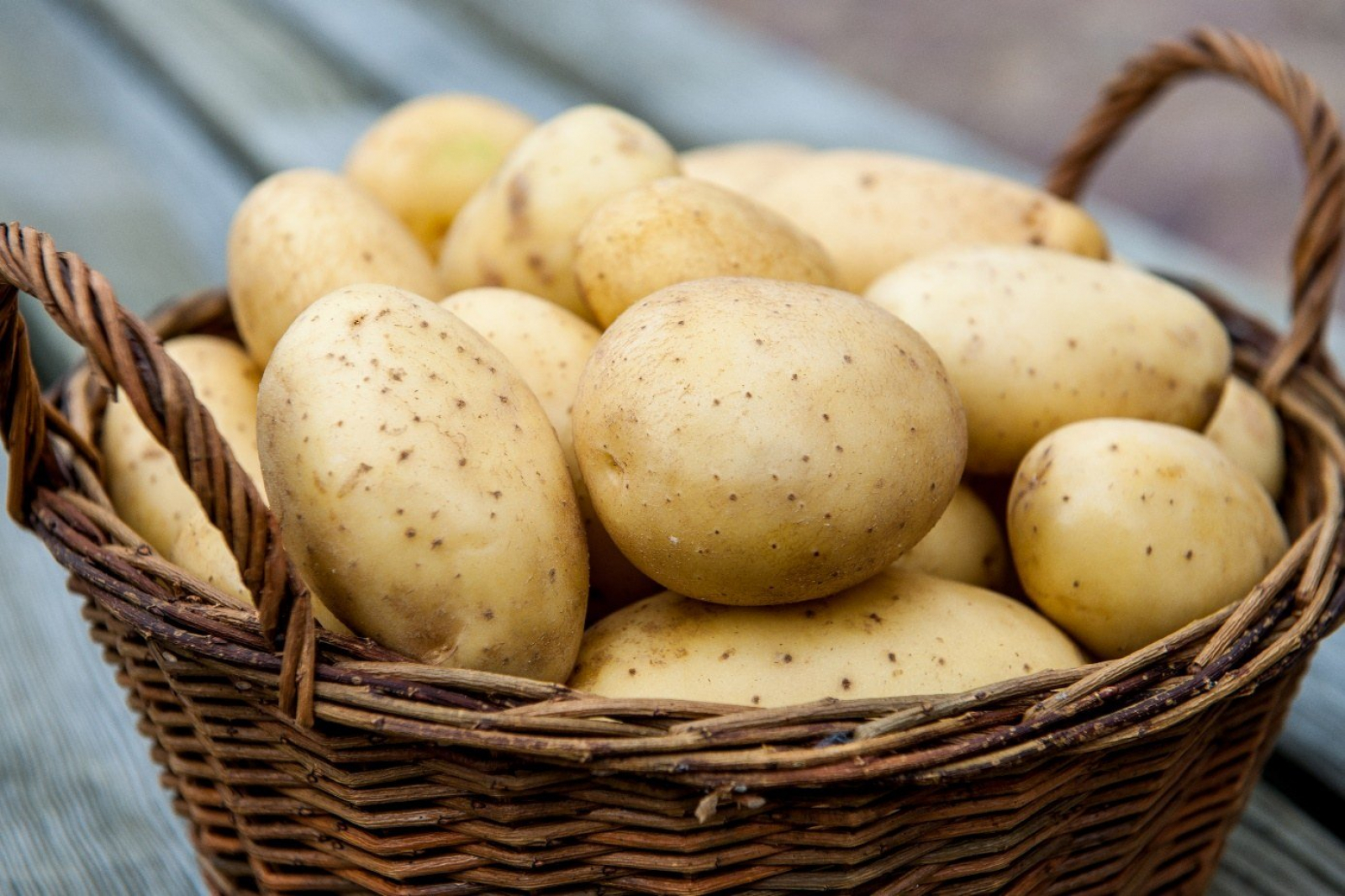 Potatoes picture. Картофель Импала. Картофель Армада. Сорт картофеля Гала. Картошка картинка.