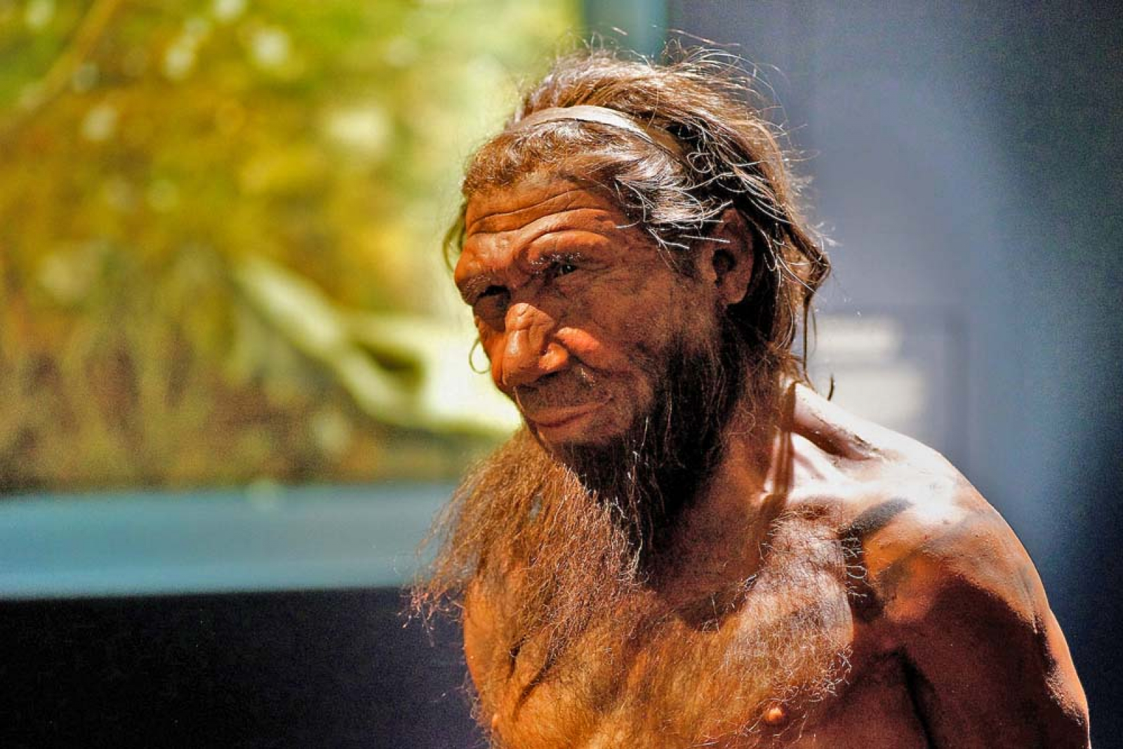 Хомо сапиенс неандерталенсис