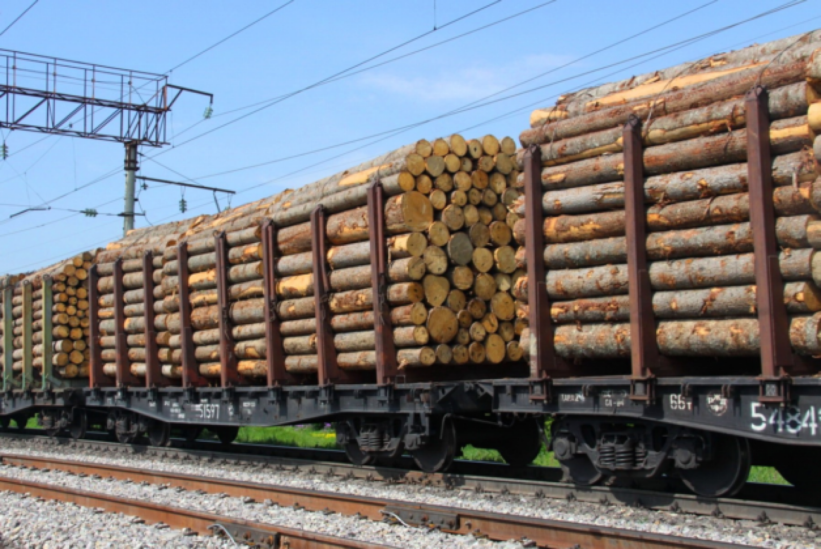 Export logs