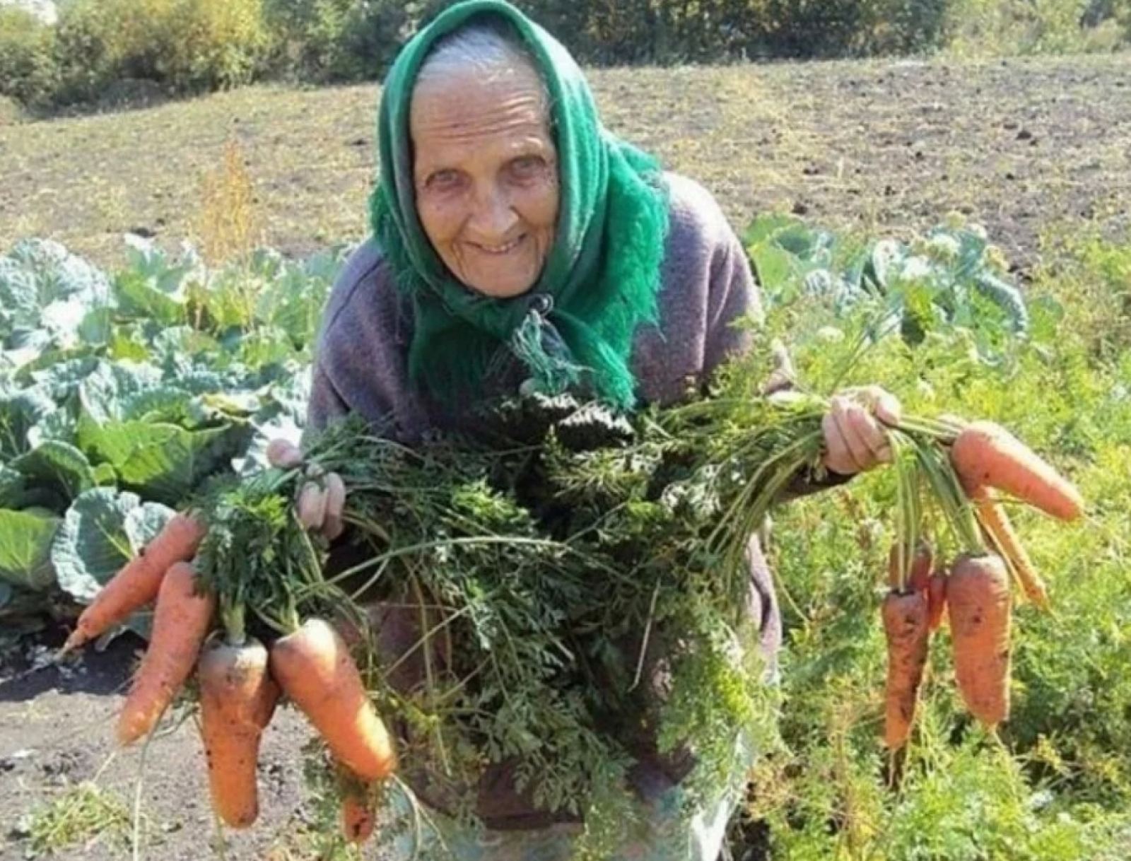 Соседская бабка. Старушка на грядках. Бабка в огороде. Бабушка в огороде. Бабушк АВ огрроде.