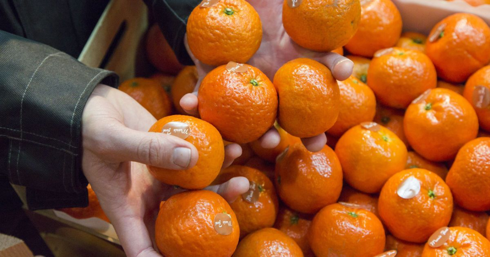 12 мандаринов. Вес большого мандарина. Мандаринки новый год. Мандарин из пенопласта купить. 12 мандаринов.