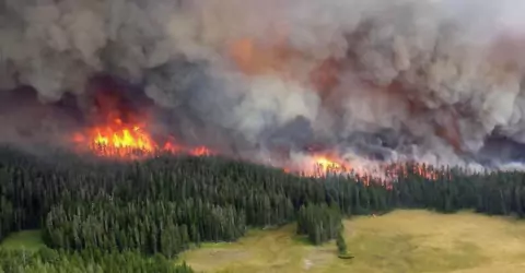 Выражение «Press F to pay respect» признано неполиткорректным