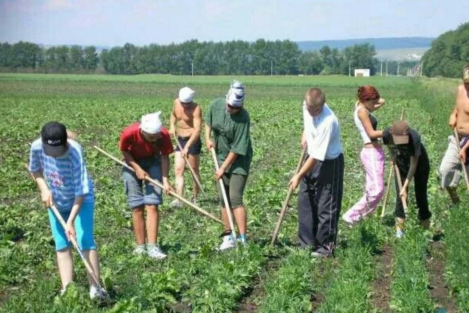 фото рабочих в поле