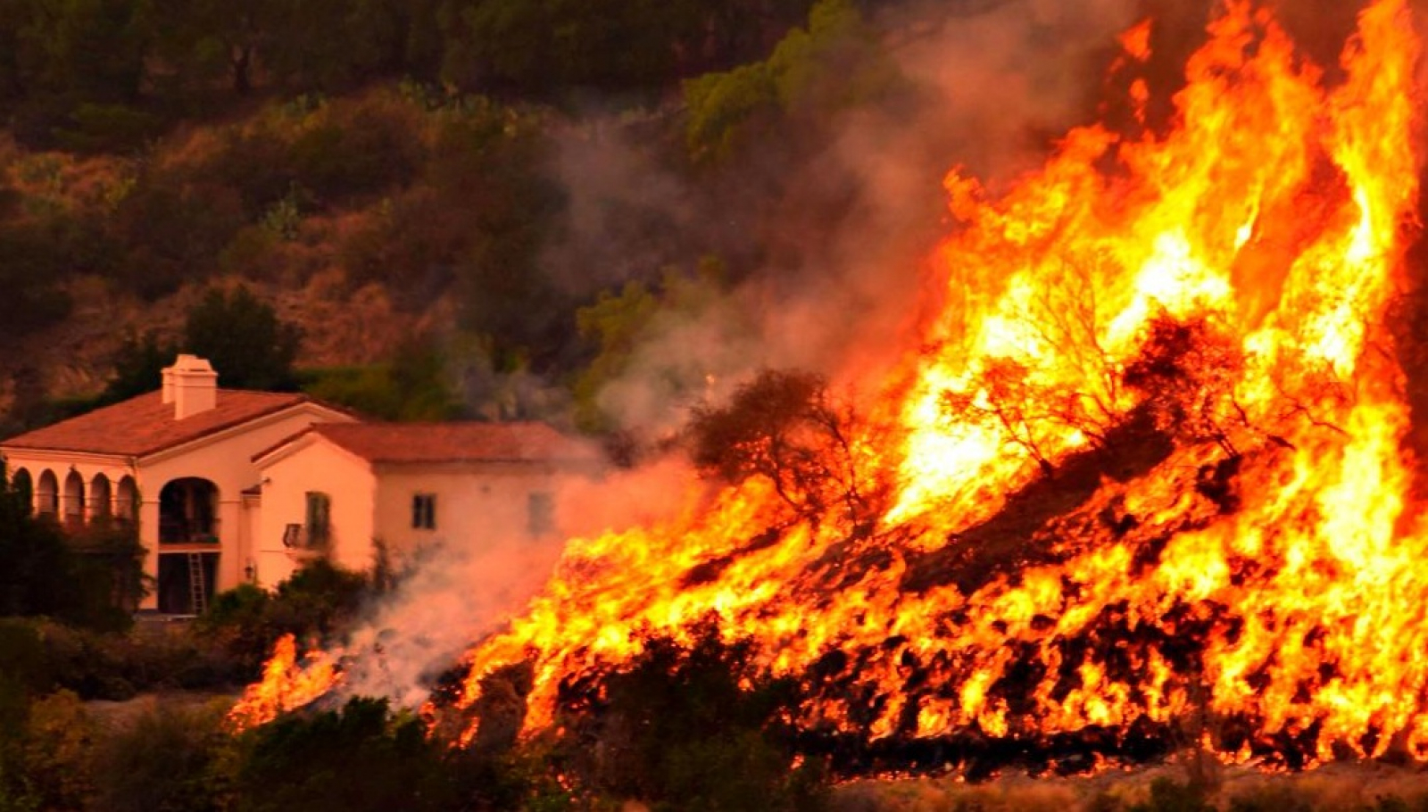 Американский сенатор запретил пожарным тушить свой дом из-за слишком ...