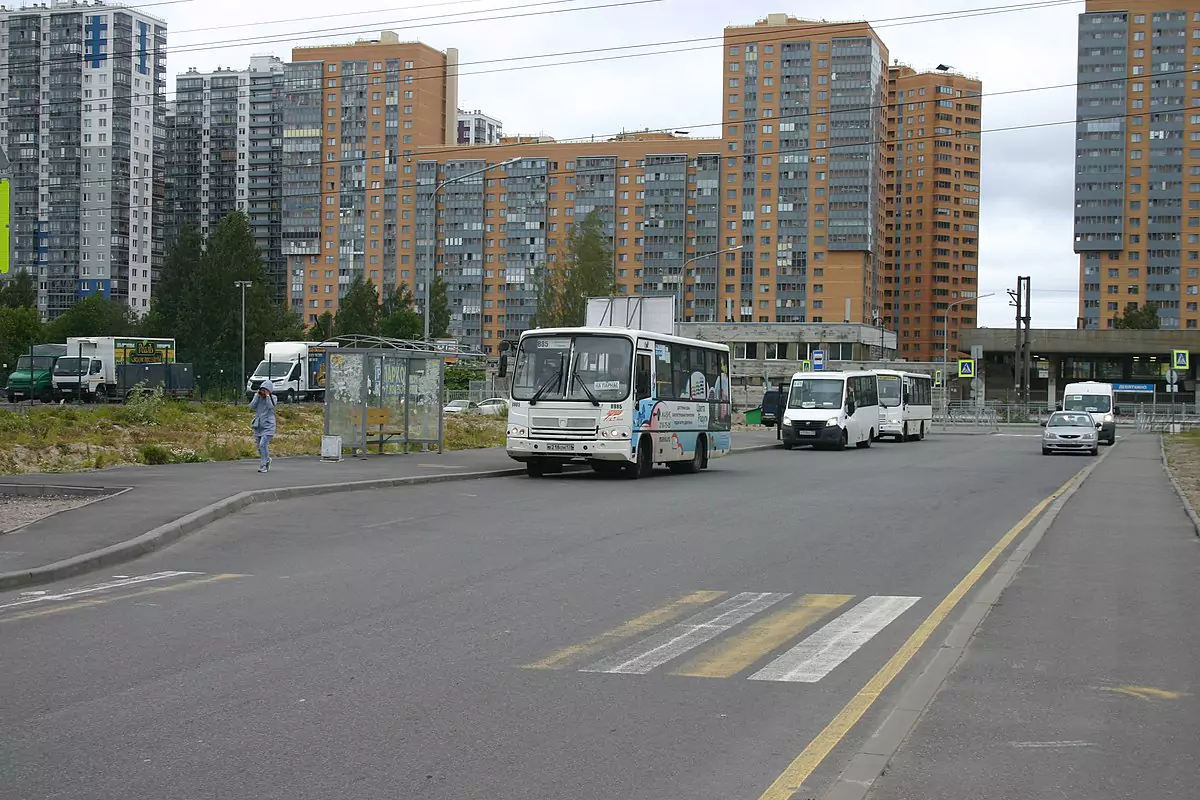 Жители Западного Мурино вышли на акцию протеста после ввода в микрорайоне  первого автобусного маршрута