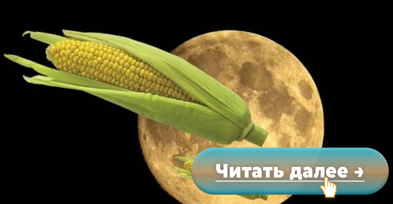 Кукурузное полнолуние. Полнолуние солнце напротив с луной. Corn c moon. Кукурузная луна. Лунное поле.