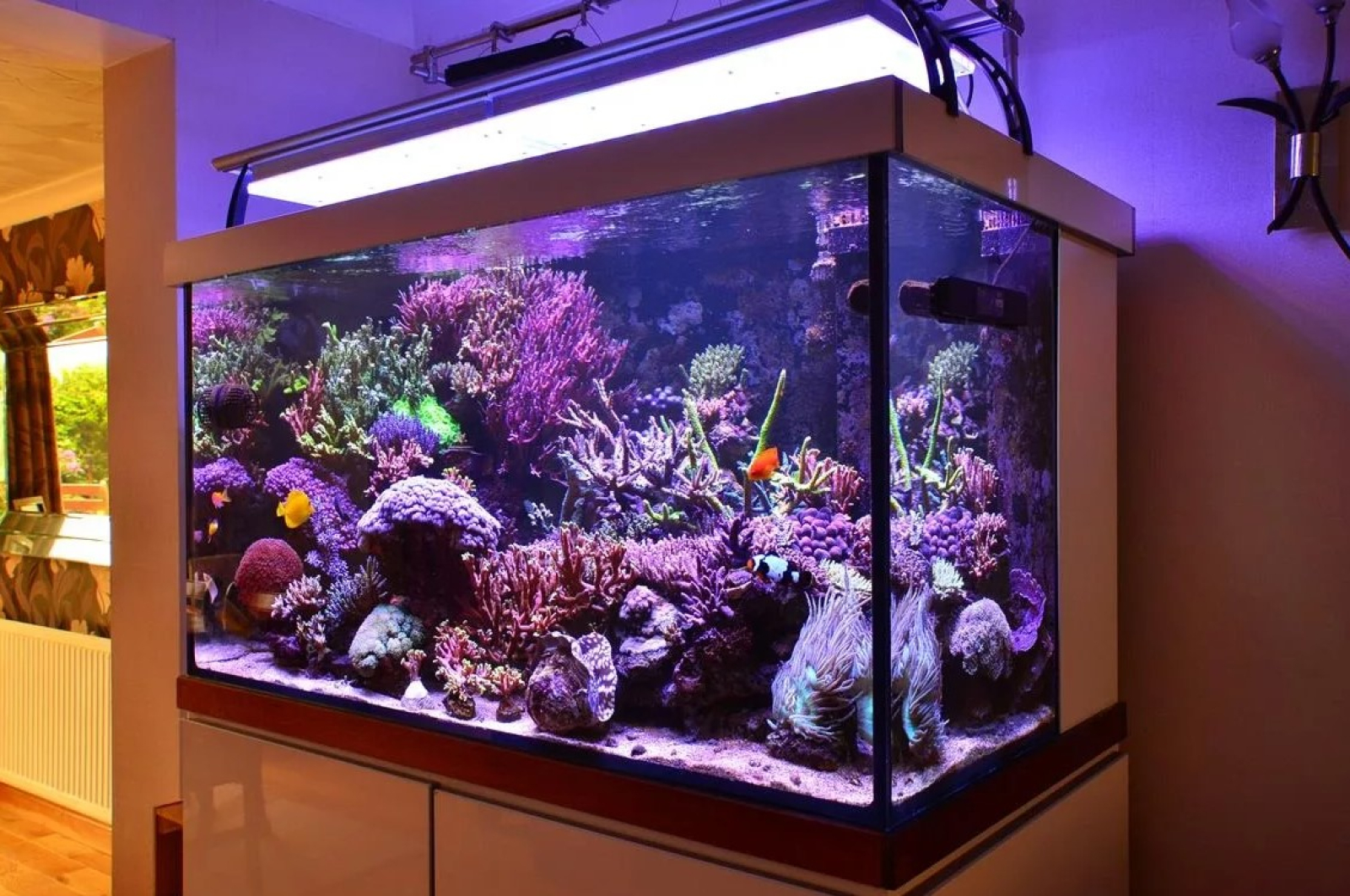 Aquarium. Аквариум. Рыбки для аквариума. Красивые аквариумы. Большие аквариумы.